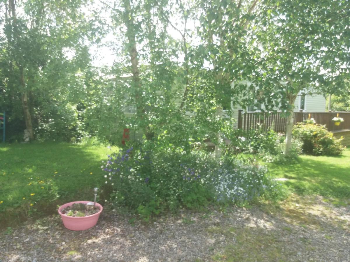 Hills View Accommadation Borrisoleigh Exterior foto